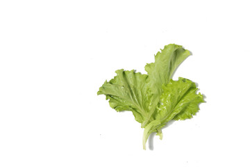 salad leaves isolated on white background flat lay