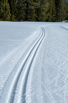 USA, Idaho, Sun Valley, Cross country ski trail near forest