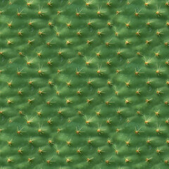 Seamless texture. Cactus leaf structure as background or wallpaper