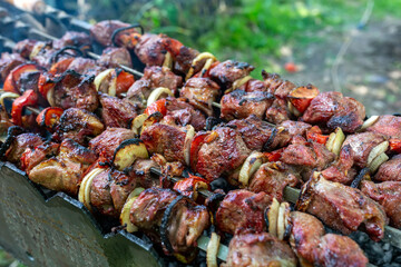 Skewers uncooked in nature on skewers in the open air. shashlyk