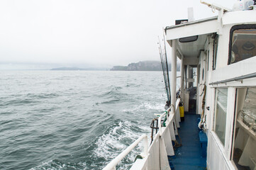 A sense of freedom in the cold ocean