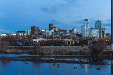 late view of a city after sunset with water and birds in the foreground