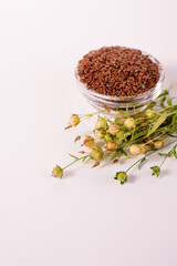 Composition with , flax seeds, and plants on white background. Organic Healthy food background.