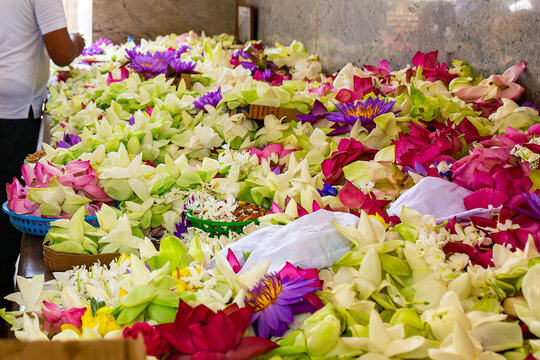 close-up flower offerings to Buddha inside the temple, Sri Lanka