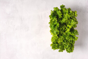 Fresh lettuce leaves on gray concrete background, flat lay, place for text