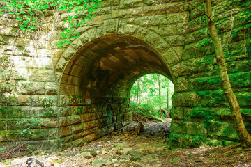 Forgotten Tunnel In The Woods 
