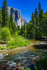 El Capitan, Yosemite National Park