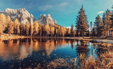 Fototapeta na wymiar Breathtaking Alpine Highlands in Sunny Day. Dolomite Alps at sunny autumn day with yellow larches and lake glowing by sun and high mountain peaks behind. Antorno lake. Italy. Gorgeous autumn landscape