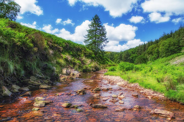 river in the mountains