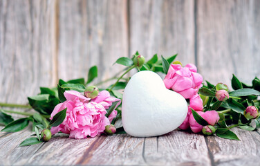 White artificial heart surrounded by buds of pink peony on a wooden background