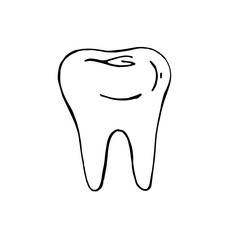 Hand-drawn image of a tooth. Graphic black and white vector image. Isolated on white