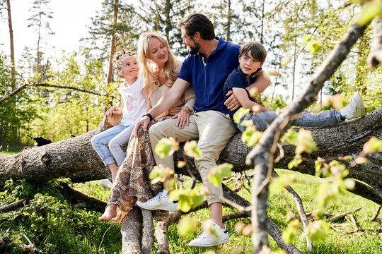 Family sitting on fallen tree in forest