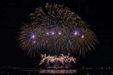 Fireworks in the night sky