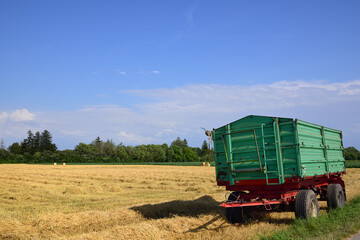 Fototapeta premium In summer, next to a harvested grain field, there is a green agricultural trailer against a blue sky
