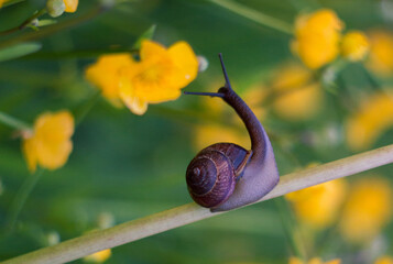 Towards the beautiful