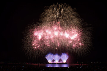 fireworks in the night sky