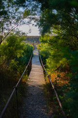 Fototapeta premium Old, wooden, vintage bridge over the river, overgrown with summer greenery