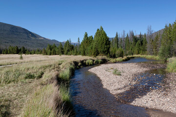 Fototapeta na wymiar Flowing Stream in the Rocky Mountain National Park