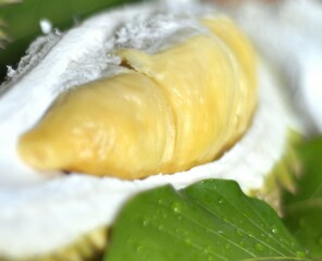 a fruit from Indonesia called sweet fresh durian with green leaves