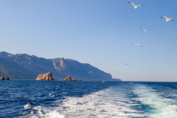 Fototapeta na wymiar Sea and rocks. Flock of seagulls against blue sky flying over the sea following the ship. Holidays in Sardinia.