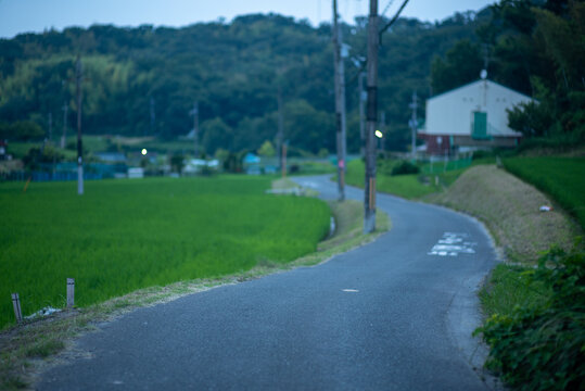 Winding walking way