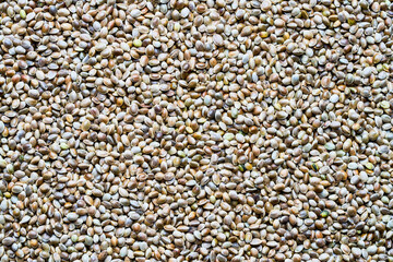Top view of hemp seeds. Seeds backgound.