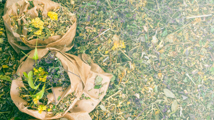 mix of healing herbs in paper zero waste bags