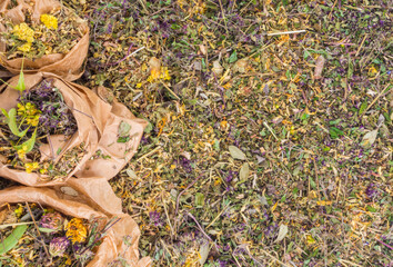 mix of healing herbs in paper zero waste bags