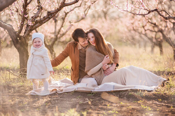 Happy family are relaxing on a picnic in the blooming peach gardens at sunset in the sun. Mother and father hug, kiss their little daughter, sit on a blanket, laugh. A weekend trip with children outsi