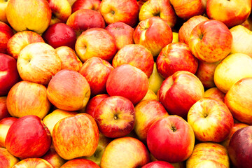 Fototapeta na wymiar A display of apples at a farm near Gervais, Oregon