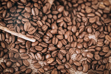 Wooden scoop with roasted coffee beans close-up, selective focus
