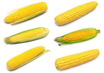 Collection corn isolated on white background. Top view, flat lay