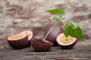Tropical fruit,  passiflora