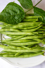 Frische Fisolen unreife bohnen aufgelegt