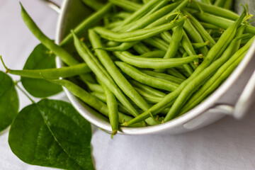 Frische Fisolen unreife bohnen aufgelegt