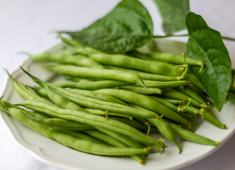 Frische Fisolen unreife bohnen aufgelegt
