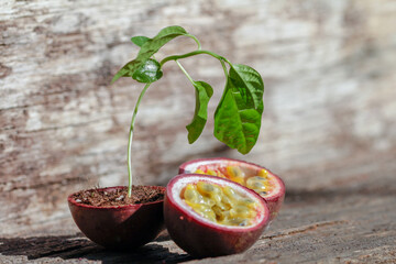 Tropical fruit,  grenadilla