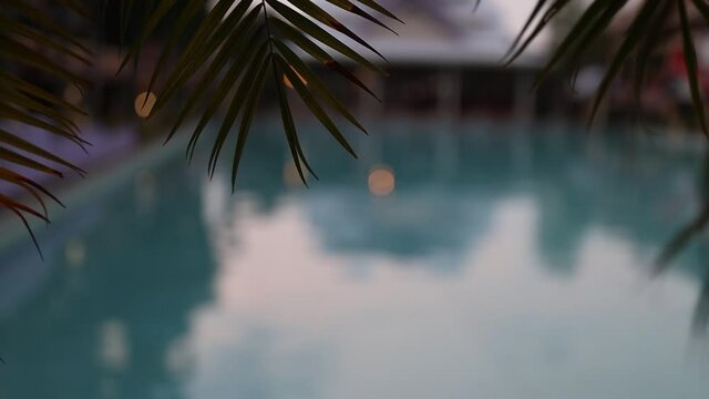 Blurred background pool and houses. Palm leaves in focus.