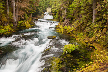 White water on the McKenzie River just downstream from Sahale Falls, near the summit of the Santiam pass.