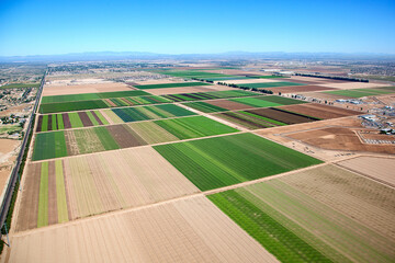 Agricultural fields outside of Phoenix, Arizona 