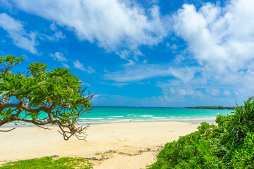 沖縄　伊良部島、渡口の浜