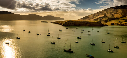 Flotilla of sailing yachts moored in he calm waters of Governors Bay in Banks Peninsula