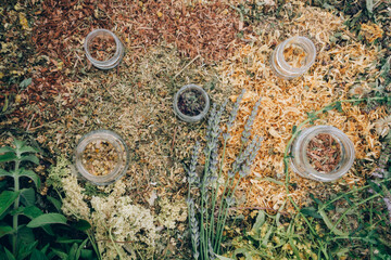 Assorted natural medical dried herbs