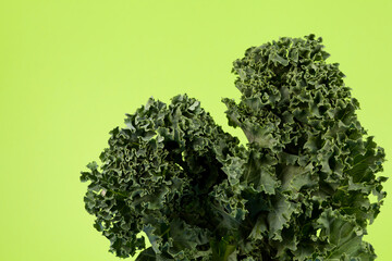 Organic kale (Italian kale, Tuscan kale, dinosaur kale, lacinato) on a delicate green background with place for text. Cabbage leaves, close up