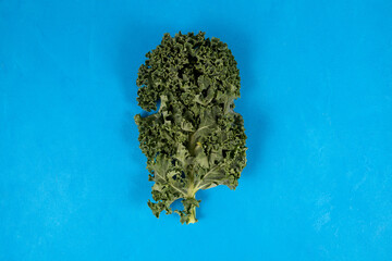 Organic kale leaf on blue background with copy space. Top view