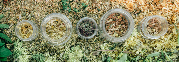 Assorted natural medical dried herbs
