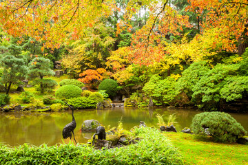 A japanese garden in northwest Oregon with trees showing their peak fall colors.