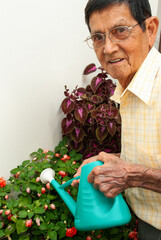 Senior citizen in his late eighties taking care of his plants.