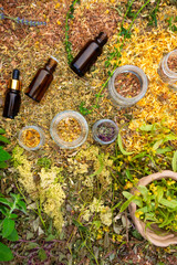 Bottles of tincture or oil and dry healthy healing herbs. Herbal medicine.