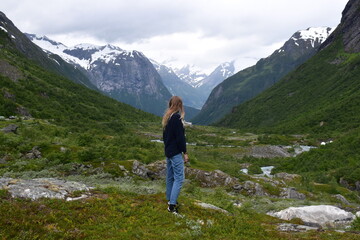 Fototapeta na wymiar Norwegian nature